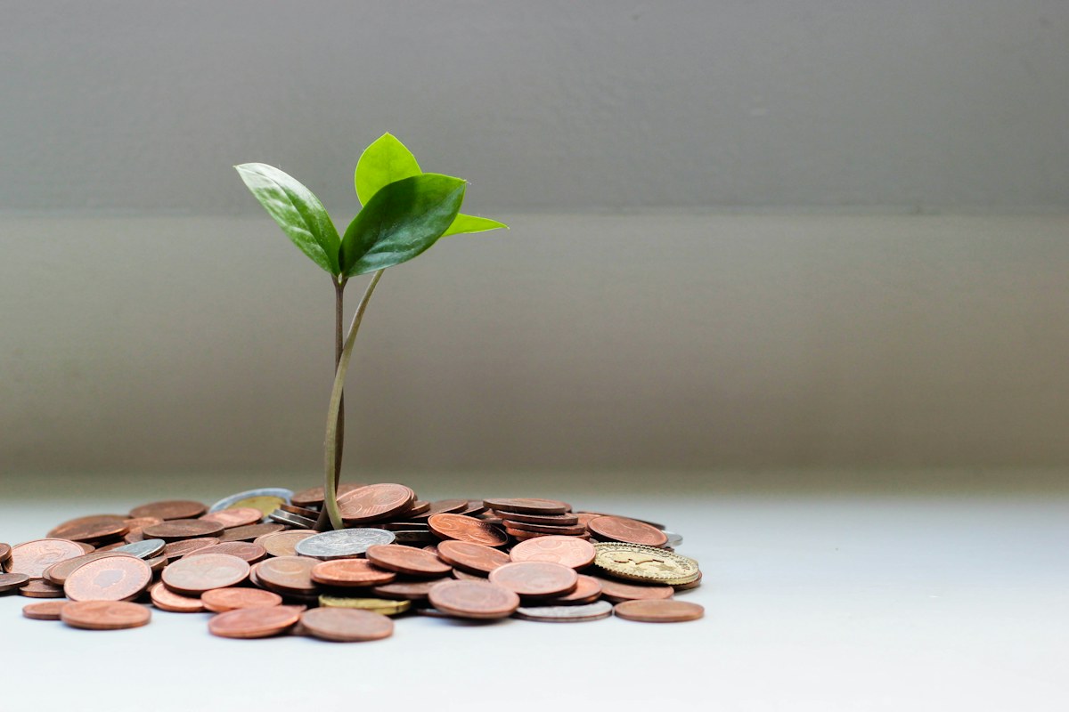 Small plant growing from a pile of coins